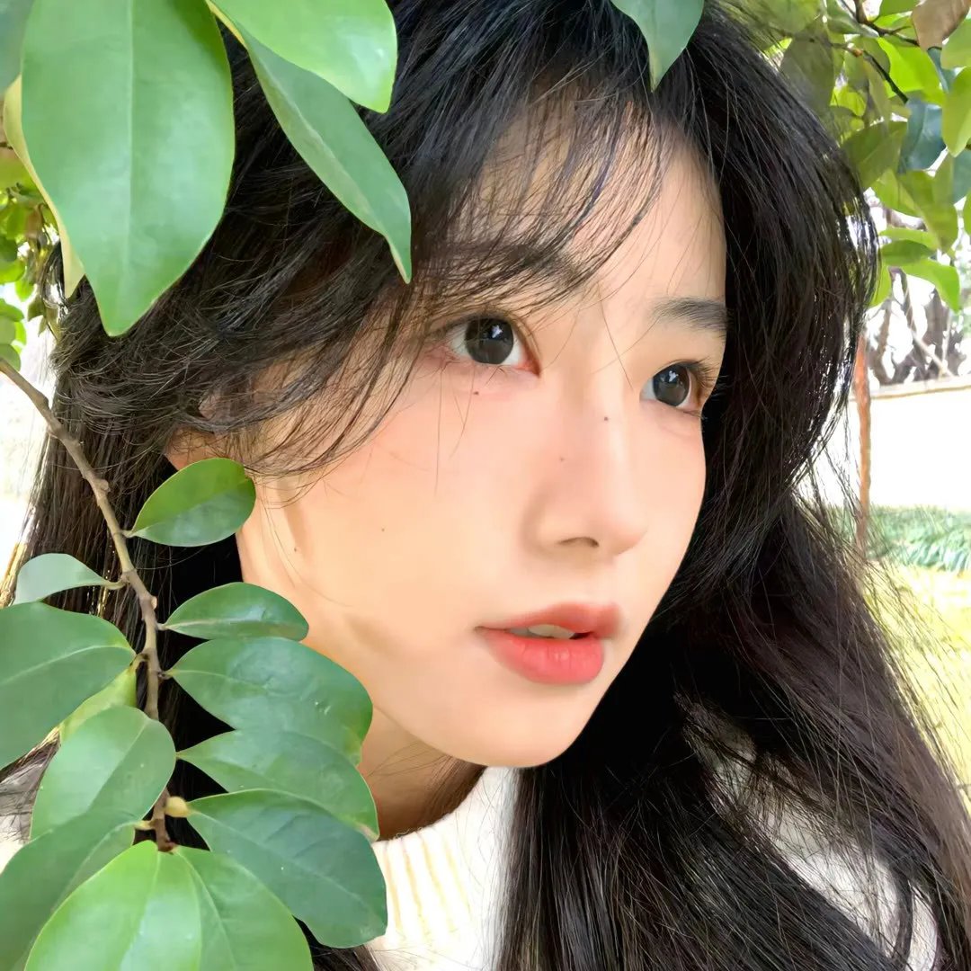 妈咪方程式